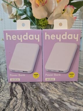 heyday Portable Power Bank in Light Purple - Dual USB Ports